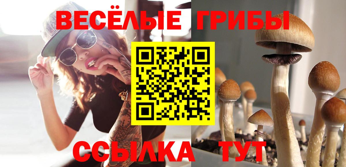 Псилоцибиновые грибы мухоморы  Псилоцибиновые грибы Magic Shrooms  Артём  Вход с VPN 